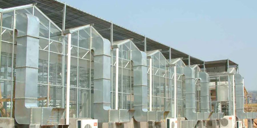 pc greenhouse strawberries made in china pc greenhouse strawberries made in china