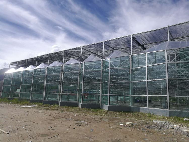 Glass greenhouse structure and characteristics