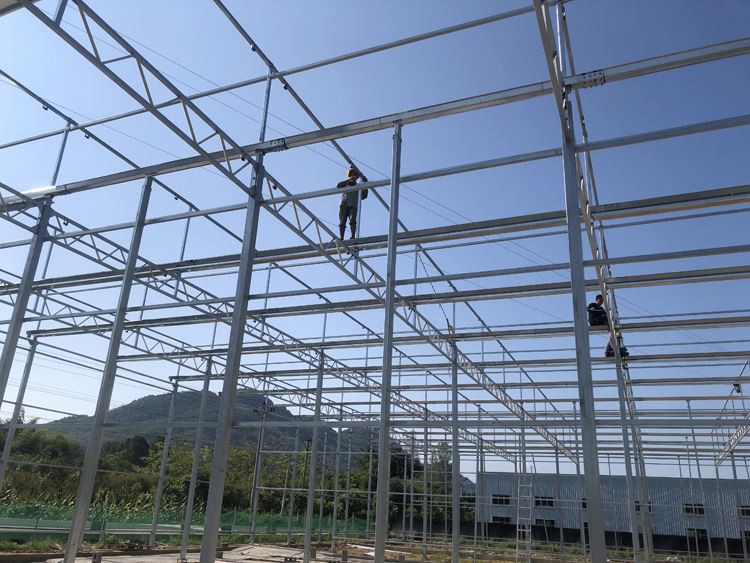 Glass greenhouse structure Glass greenhouse structure