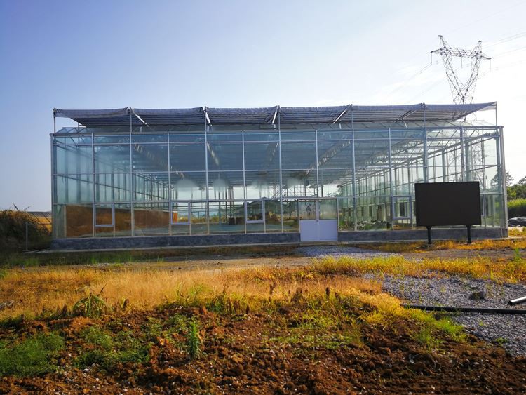 PC sun panel greenhouse cost PC sun panel greenhouse cost