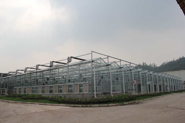 Measurements should be carried out before the greenhouse construction to effectively reduce installation errors