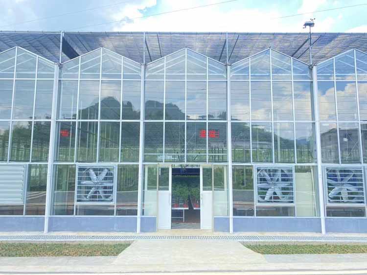 fruit greenhouses fruit greenhouses