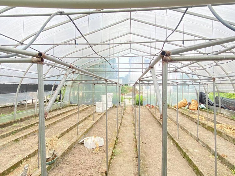 Single Greenhouse Frame Single Greenhouse Frame