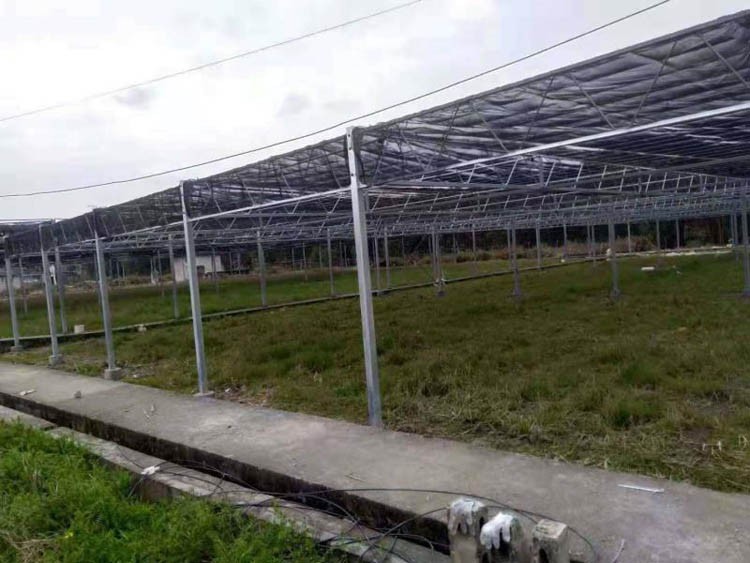 Precautions for the construction of the fence around the greenhouse Precautions for the construction of the fence around the greenhouse