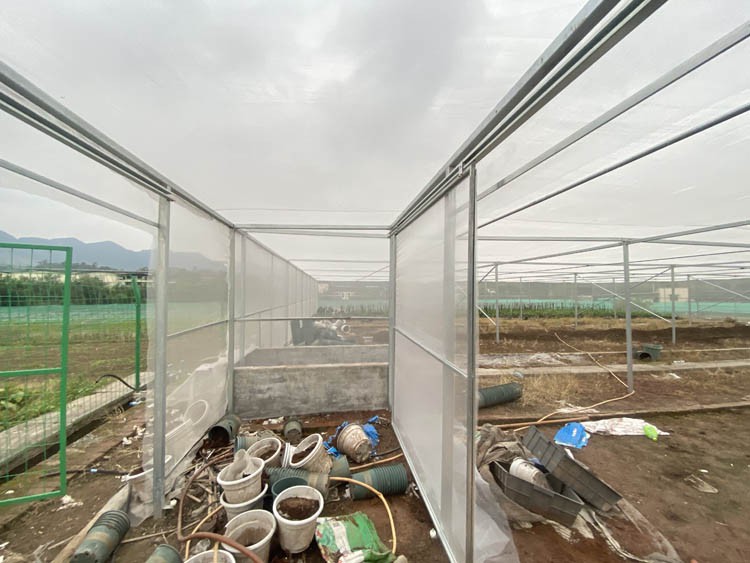 Greenhouse Tend Greenhouse Tend