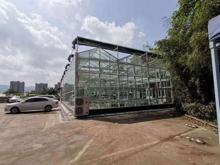 The most high-end glass greenhouse with full intelligence