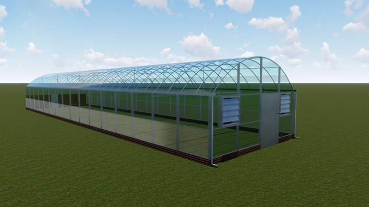 How to fertilize off-season vegetables in greenhouses