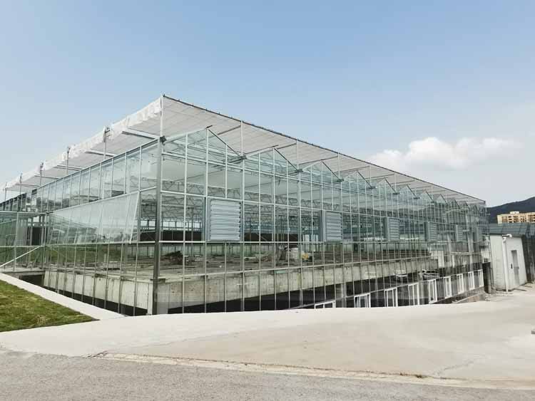 Maintenance and maintenance of greenhouse skeleton